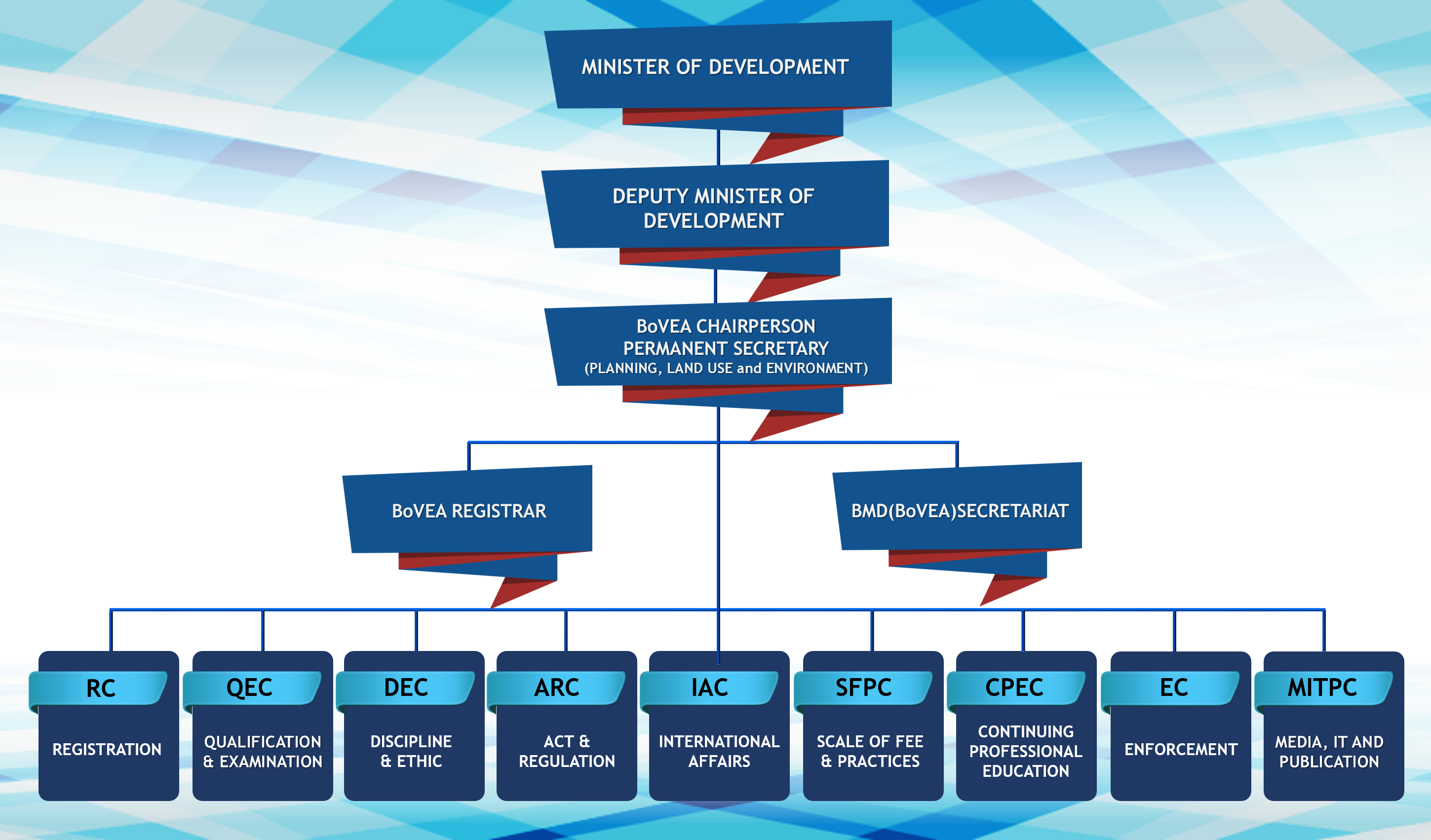 Organisation Chart.png